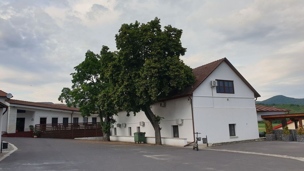 Aranydukát Vendégház Tállya (1)