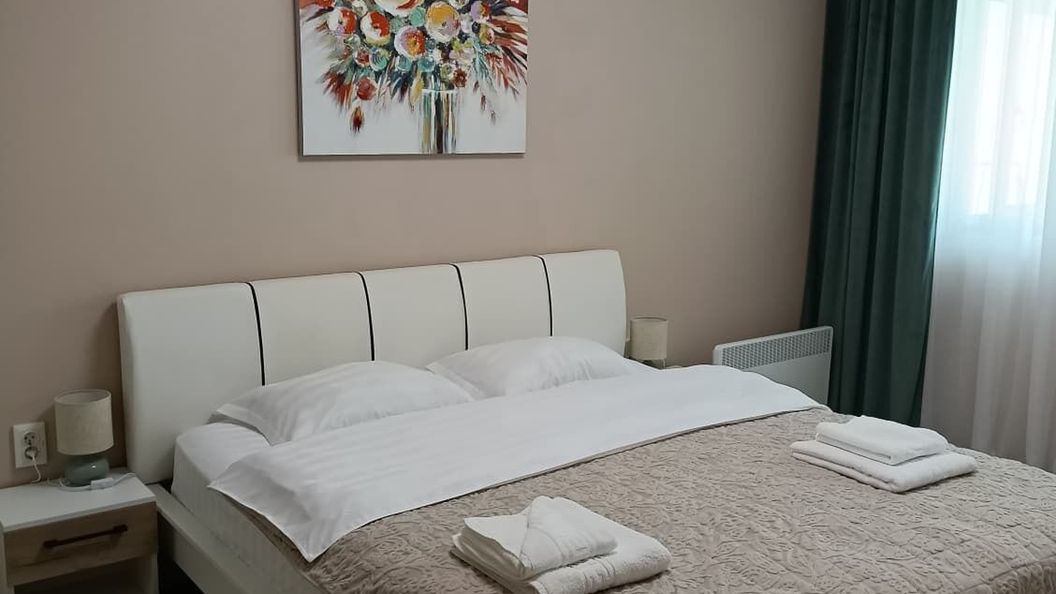 Serenity Apartment Băile Herculane (1)