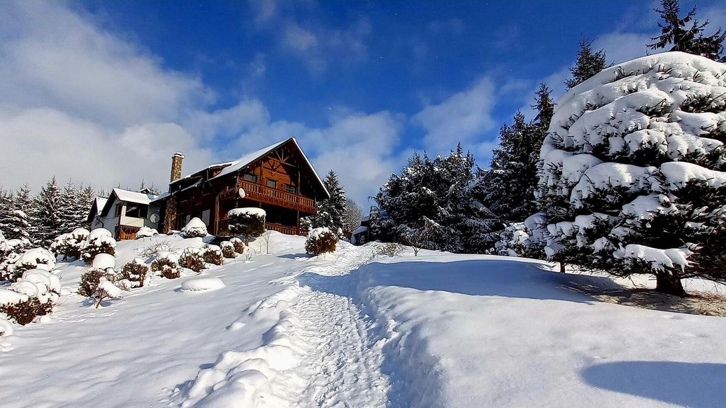 Cabana Montebello Colibita (1)