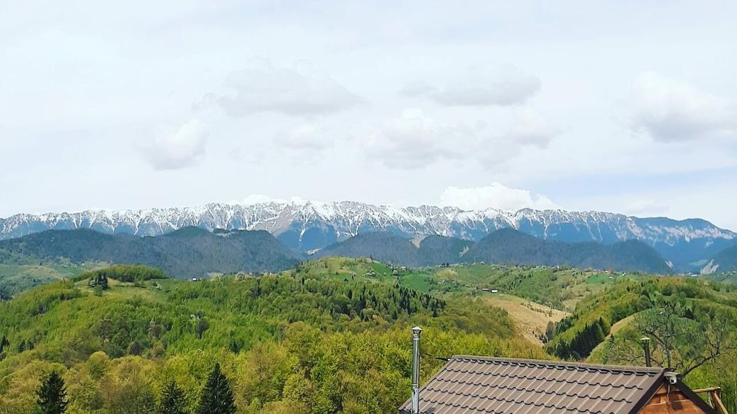 Căbănuța din munți Moieciu de Jos (1)