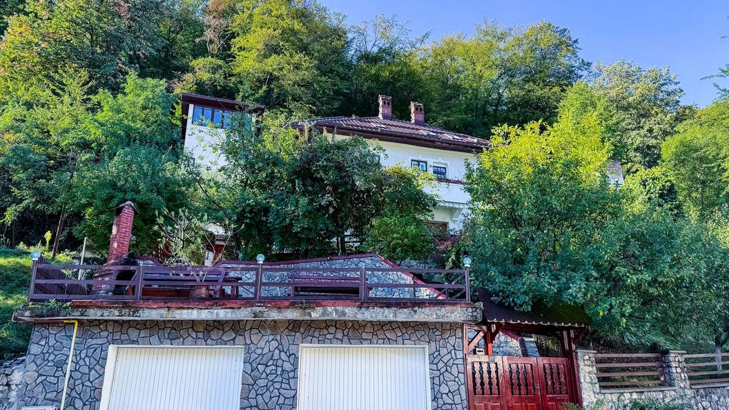 Vila Brazilor Căciulata (1)