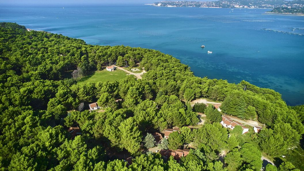 Apartments Kanegra Plava Laguna Umag (1)