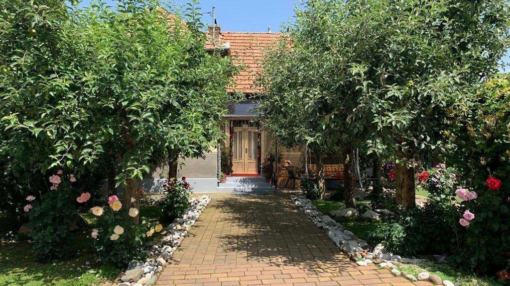 Casa Lui Moșu Alba-Iulia (1)