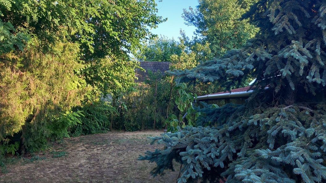 Majs-lakó Kiskunmajsa (1)