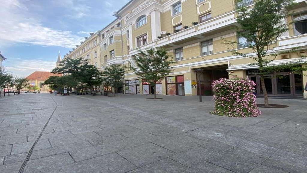 Central studio flat Cluj-Napoca (1)