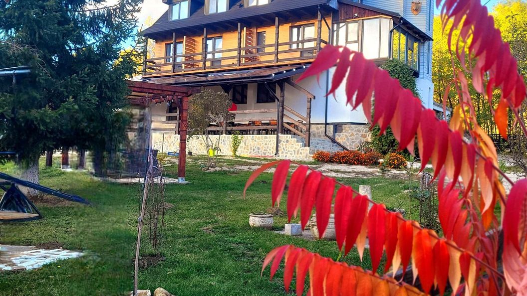 Pensiunea Plaiul Domnesc Runcu (1)