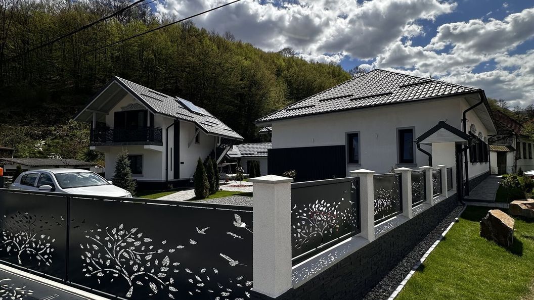 Casa din Vale Văliug (1)