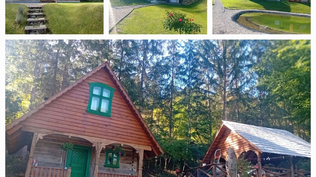 Casa Grosu Preluca (1)