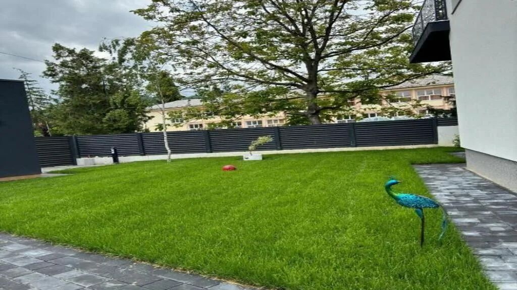 Casă de vacanță Cris 2 Băile Olănești (1)