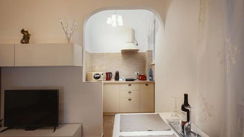 Rozelor Accomodation Timișoara (1)