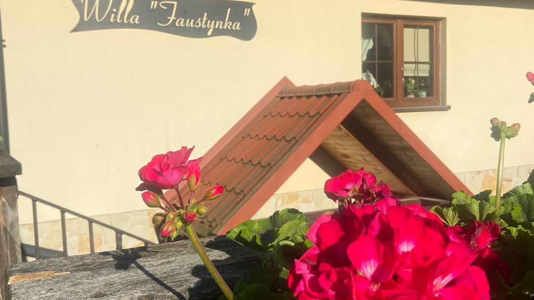 Willa Faustynka Nałęczów (1)