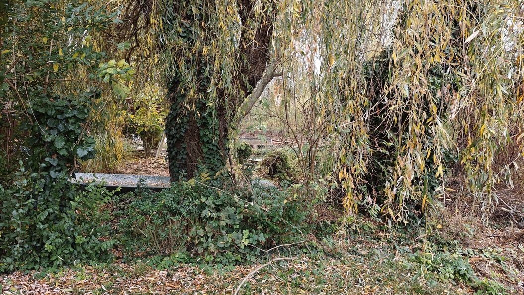 Relax Pont Dunapart Taksony (1)