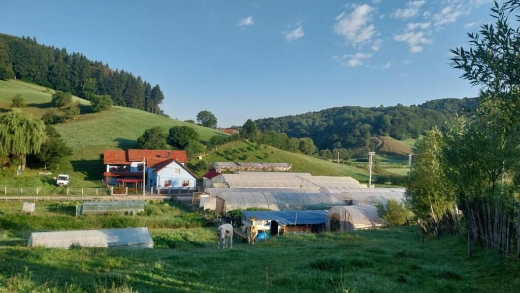 Casa Ardelean Sita Buzăului (1)