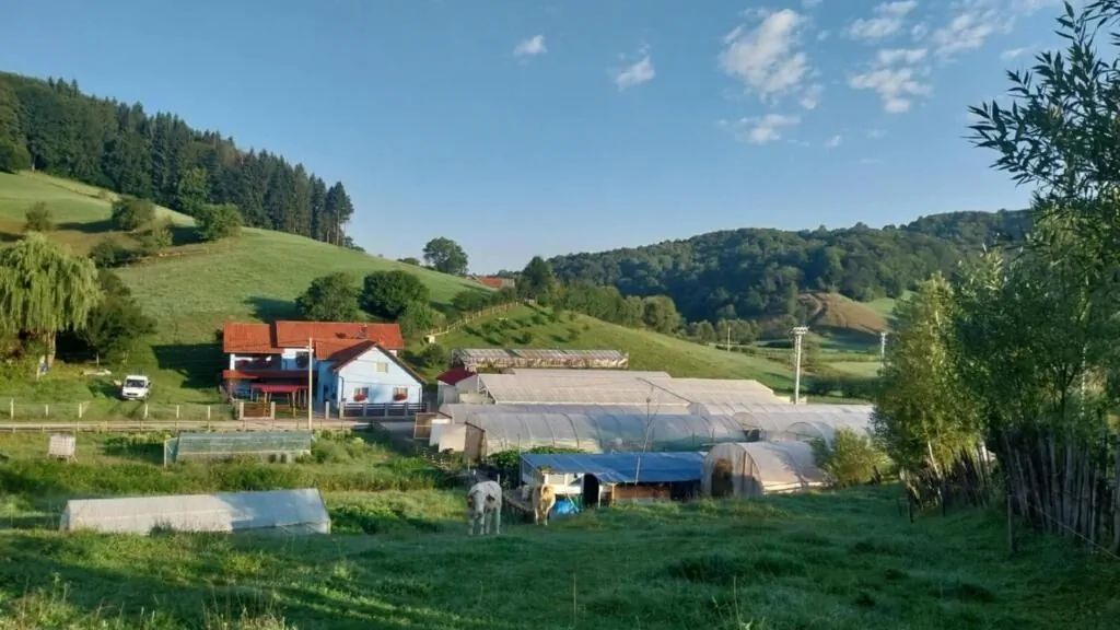 Casa Ardelean Sita Buzăului (1)