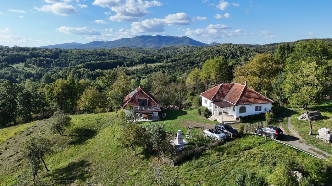 Casa Mystic Twistic Vidra (1)