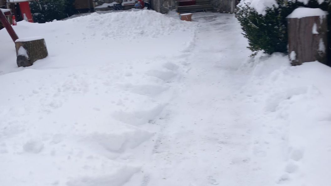 Casa Elli Buşteni (1)