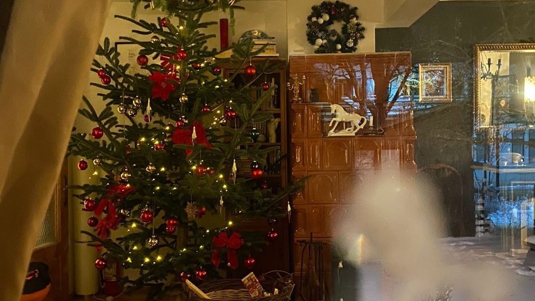 Bohemian Chalet Bușteni (1)