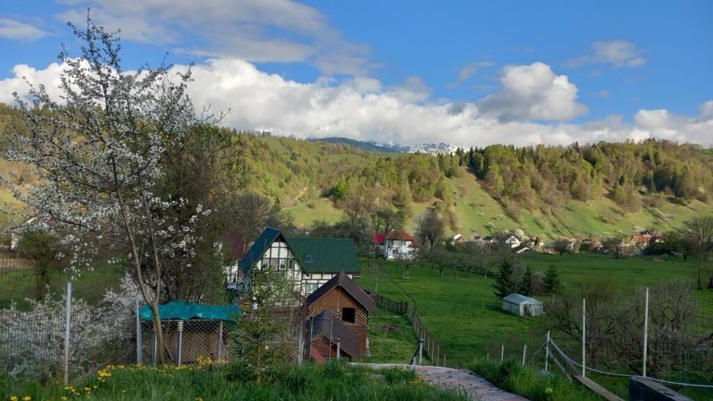 Pensiunea Brian Moieciu de Jos (1)