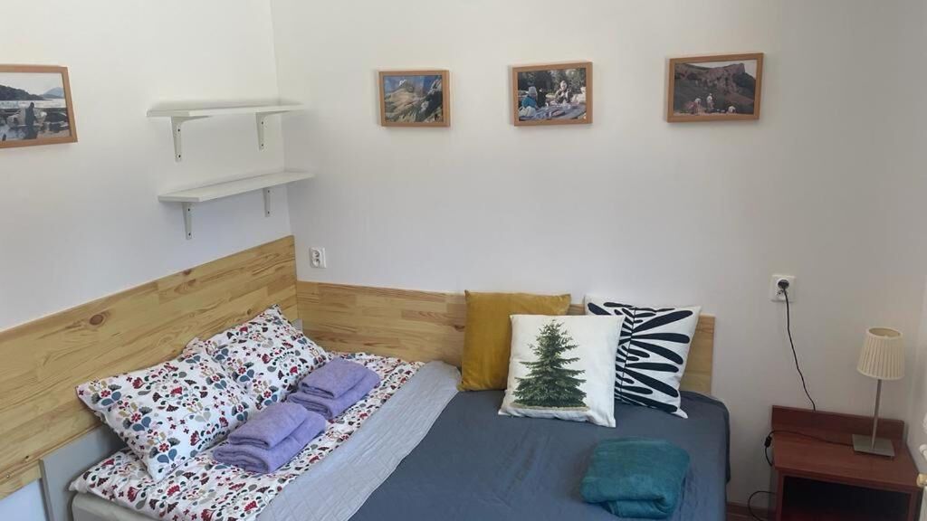 Willa Bieńkula Szczyrk (1)