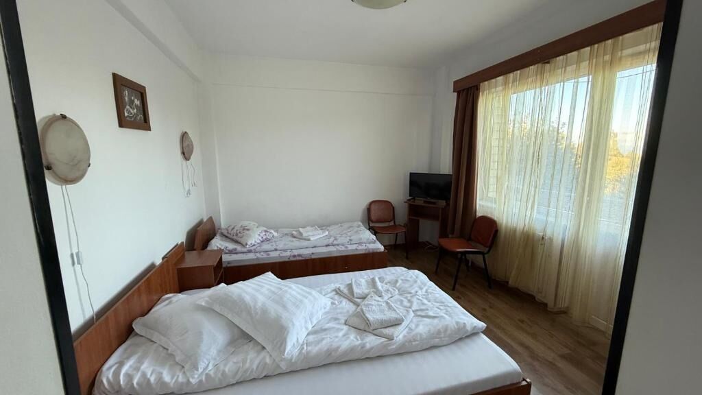 Boutique Hotel Pui de Urs Ciocanu (1)