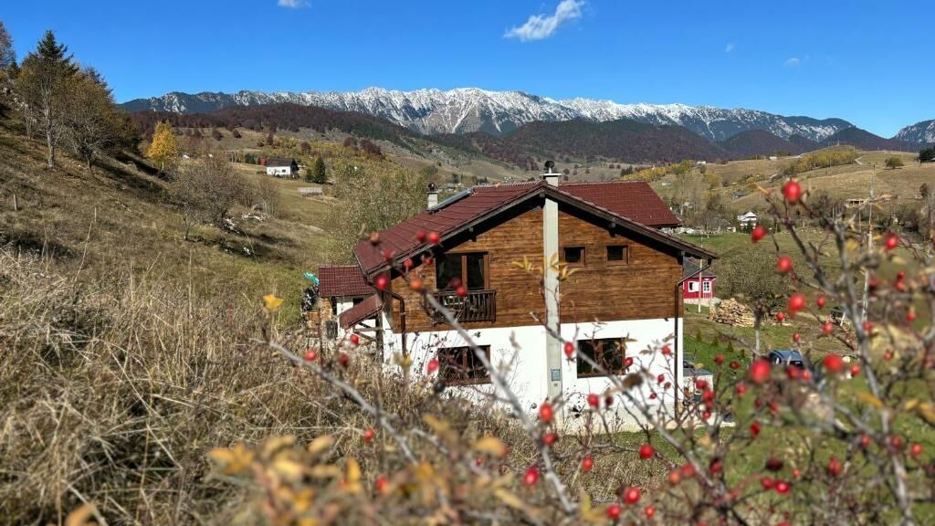 Casa Dealul Craiului Șirnea (1)