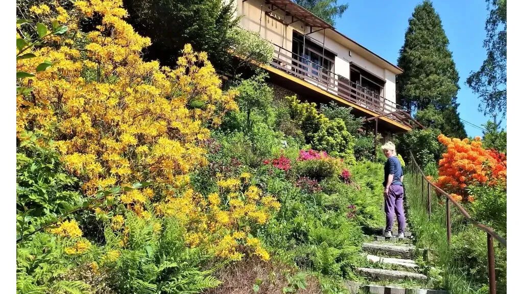 Pokoje Pod Brzózką Wisła (1)