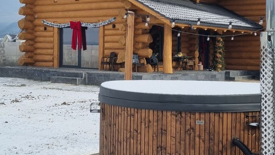 Cabana Sparrow's Nest Râșnov (1)