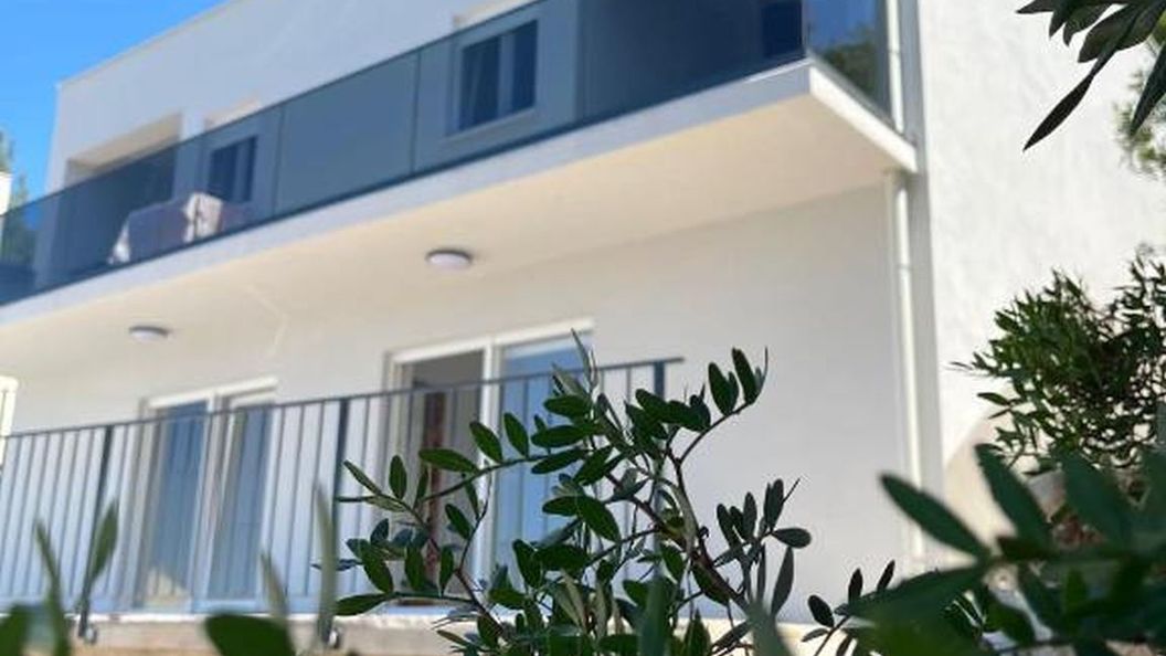 Apartments Damir Blace (1)