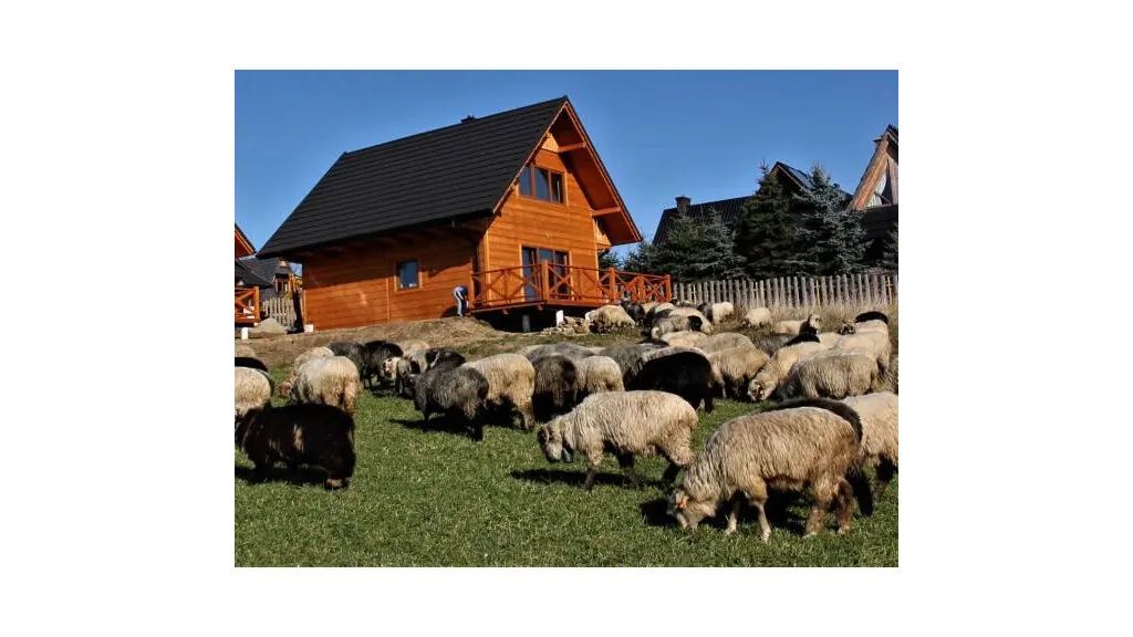 Spokój z Widokiem Chochołów (1)