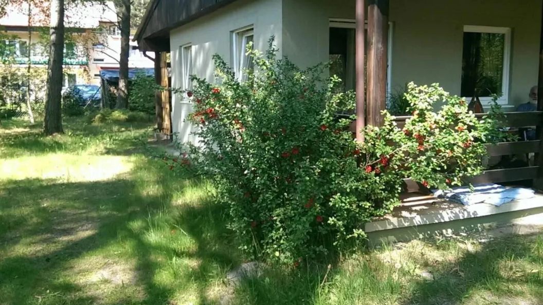 Domek Letniskowy Dębki (1)