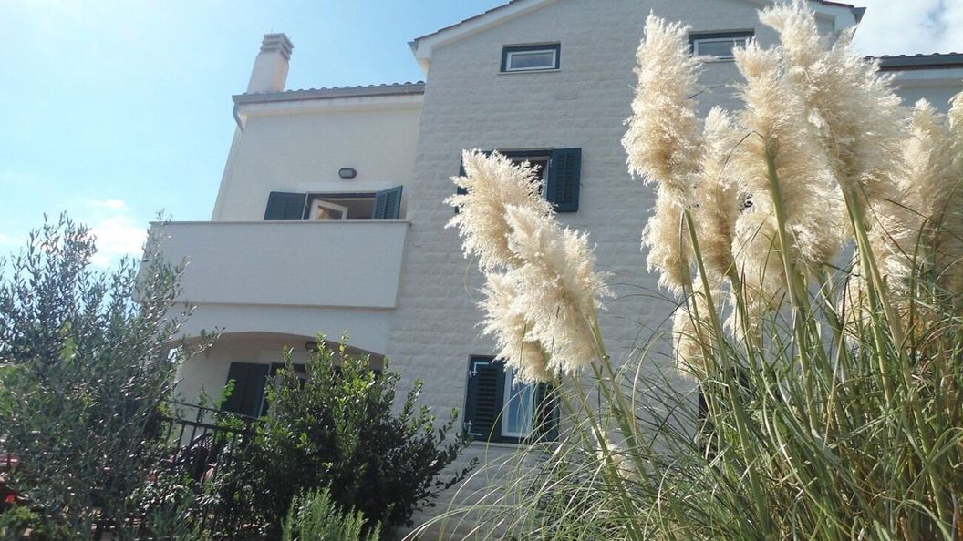 Apartments Azur Ilovik (1)