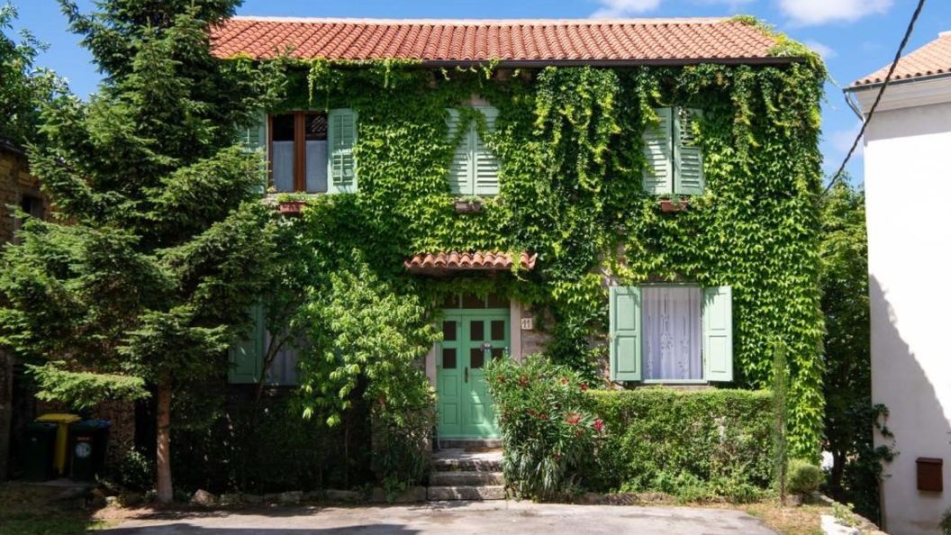 Apartment Da Lia Momjan (1)