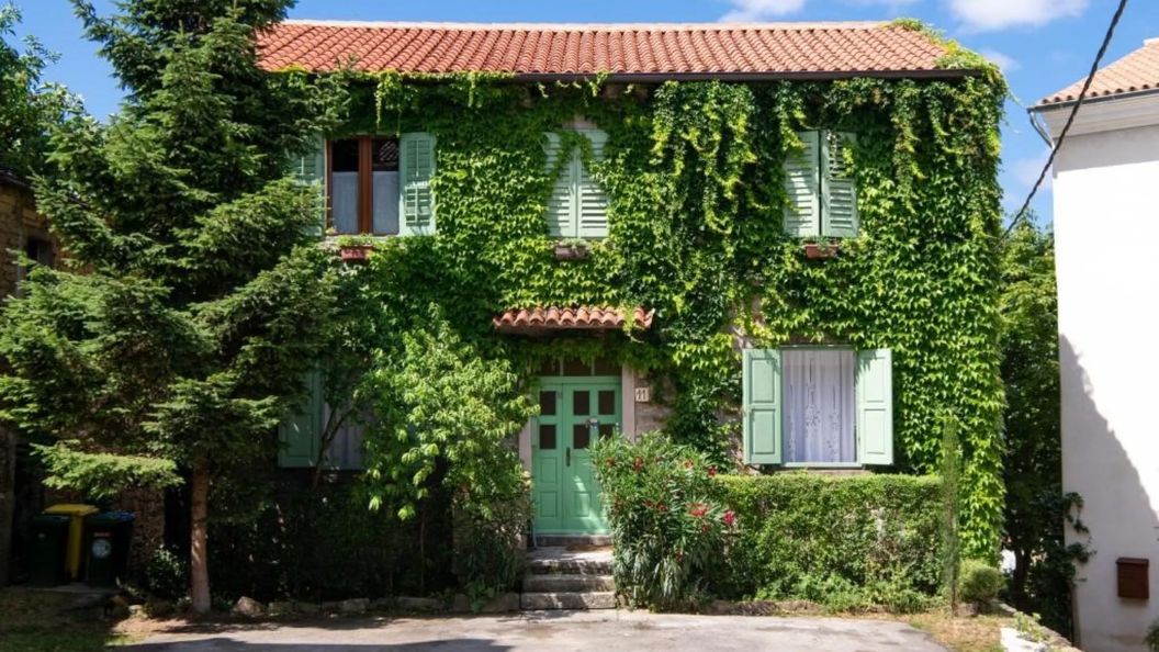 Apartment Da Lia Momjan (1)