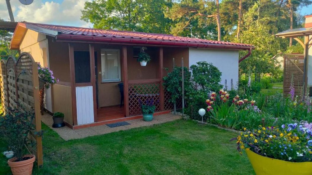 Domki U Marianny Mikoszewo (1)