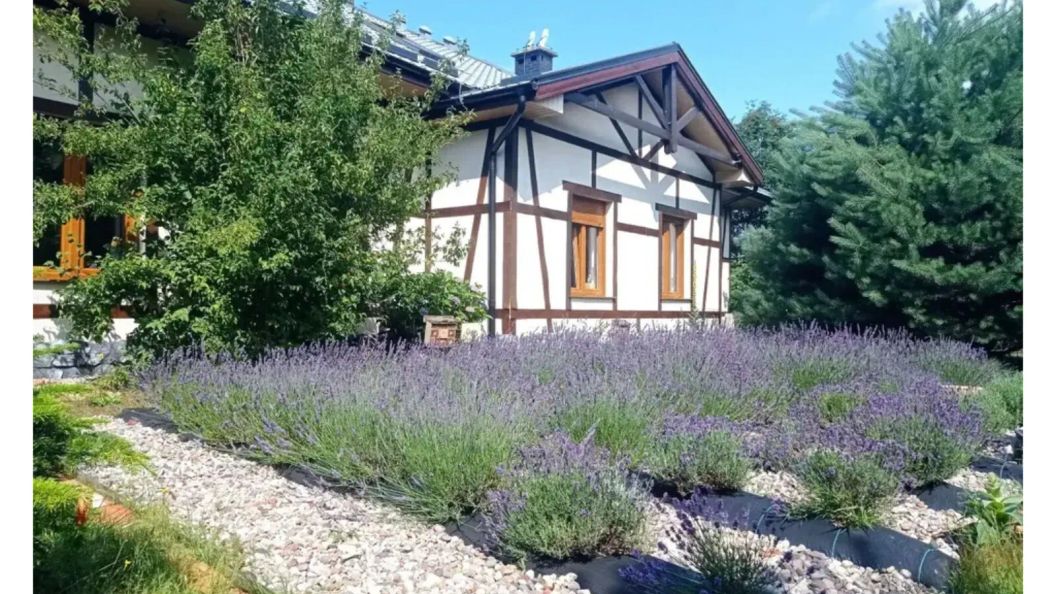 Apartamenty KlemenSówka Smołdziński Las (1)