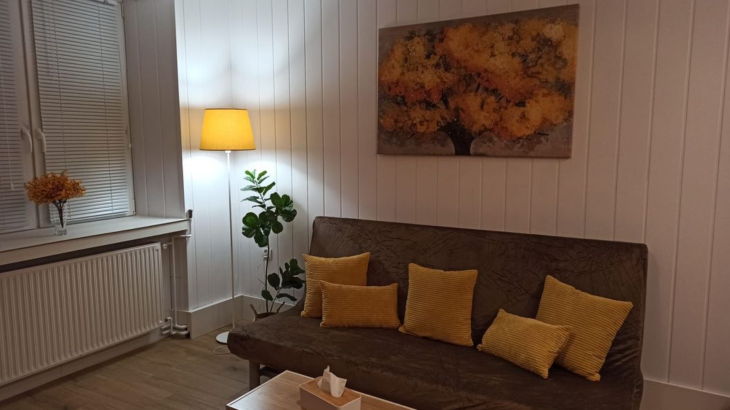 Apartament Słoneczny z Sauną Stronie Śląskie (1)