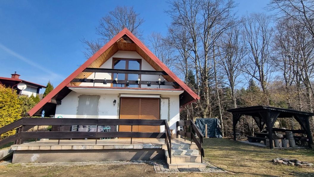 Dziupla Górki Wielkie (1)