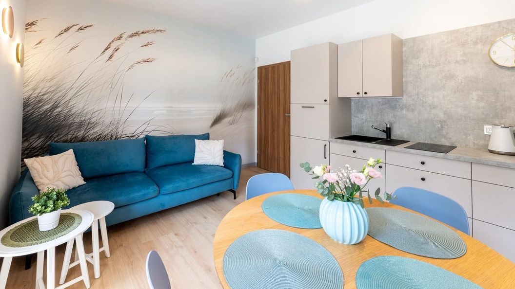 Apartamenty Brzozowe Zacisze (1)