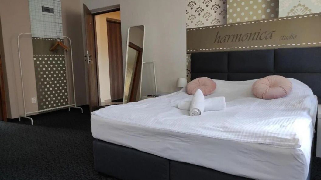 Harmonica Studio Nowy Sącz (1)