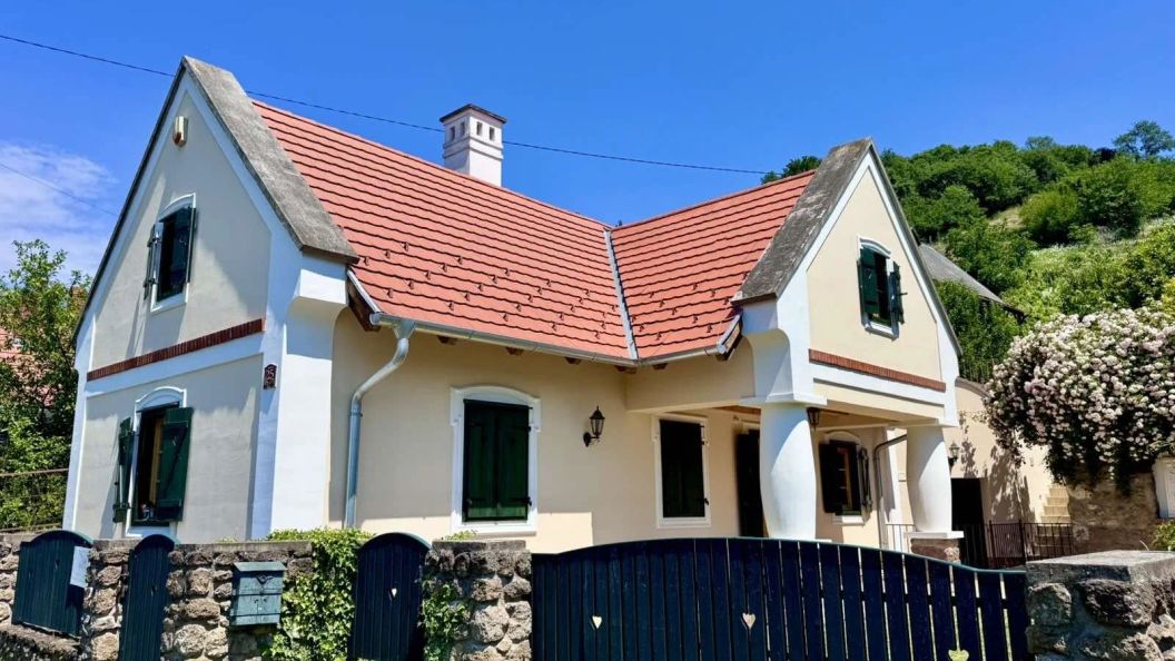 The Szigliget Residence (1)