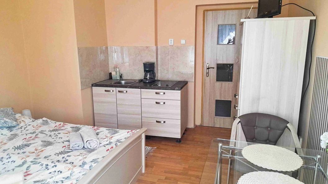 Apartman Alex (1)