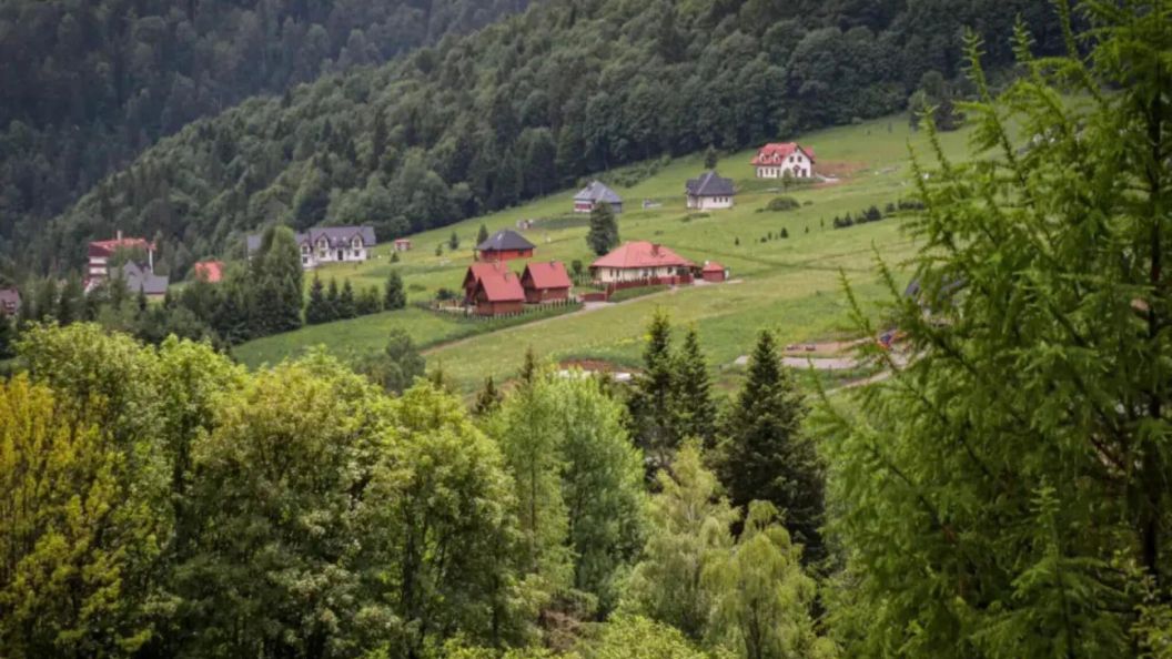 Domki nad Cisną (1)