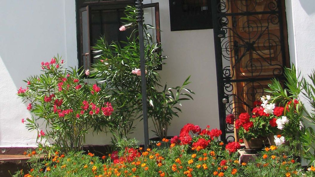 Cserépmadár Szállás és Csinyálóház Velemér (1)