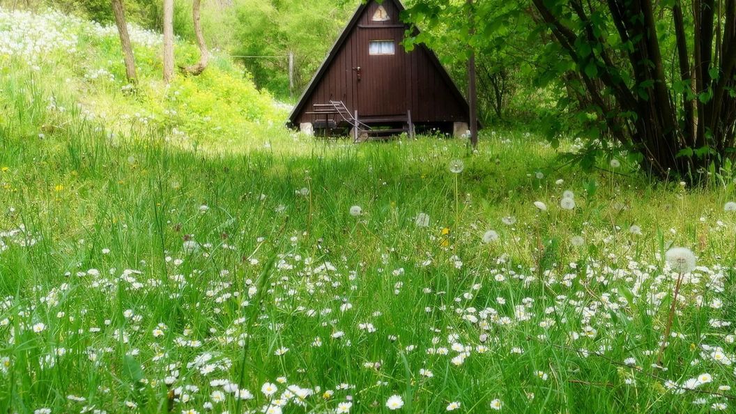 Vár Camping Sirok (1)