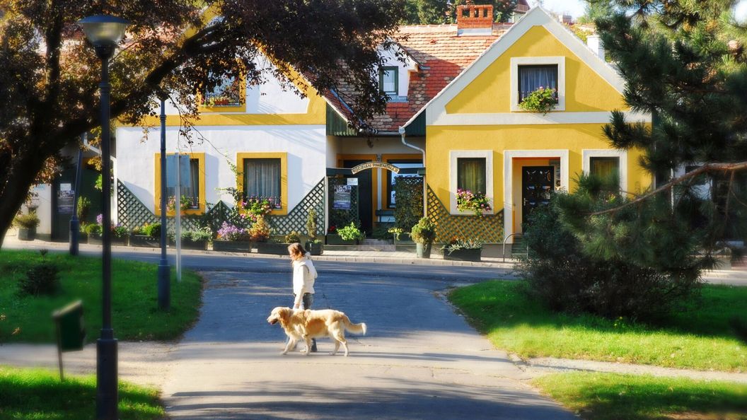 Kóczián Pihenőház Kőszeg (1)