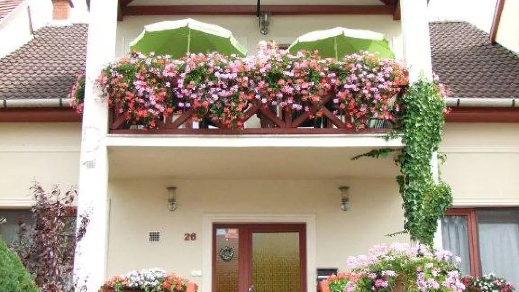 Siesta Vendégház Eger (1)