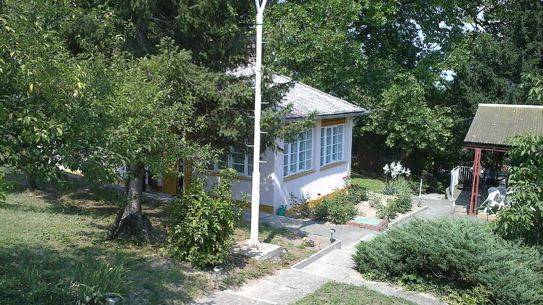 Borsatanya Fonyód (1)