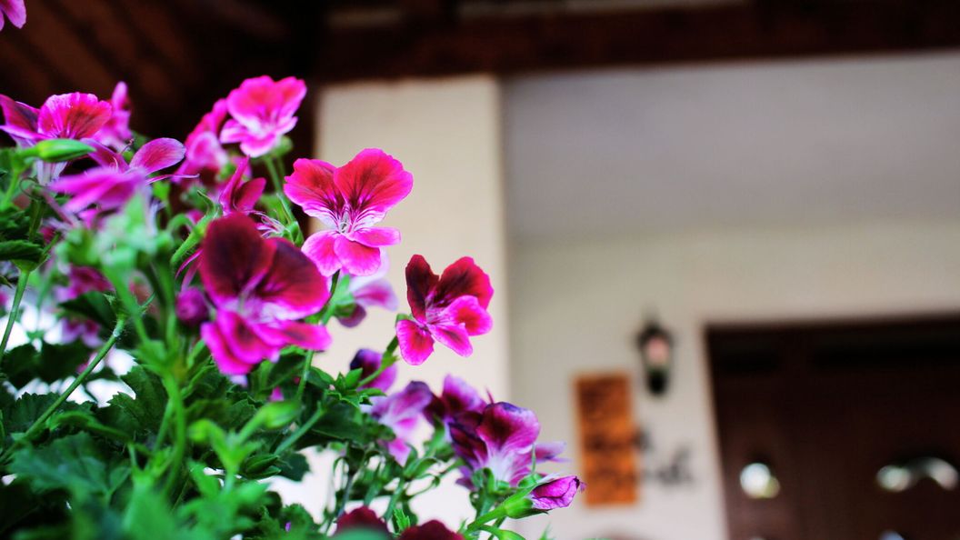 Mini Panzió Nagykanizsa (1)