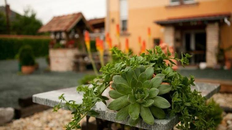 La Villa Pergola Szentgotthárd (1)