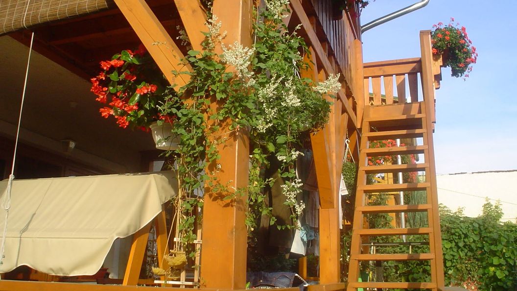 Kedves Vendégház Eger (1)